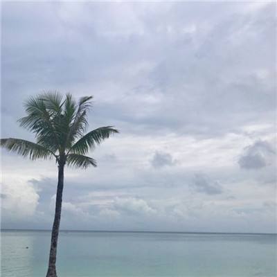 博鱼·综合体育APP